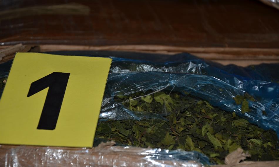 2017-1-10-1251foto 3 kath.jpg